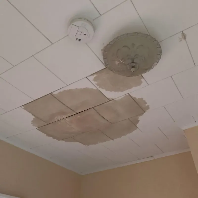Ceiling Water Damage Repair in Wright County, MN