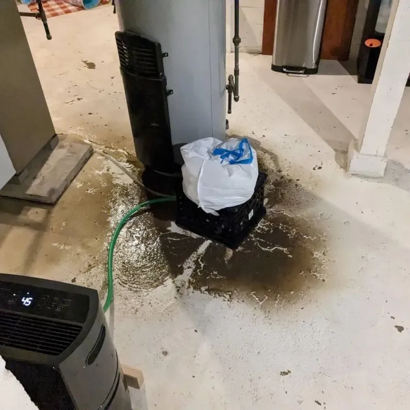 Sewage Backup Cleanup Service in Wright County, MN